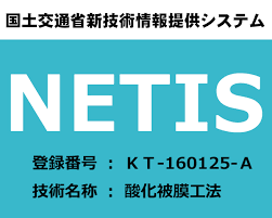 国交省NETIS